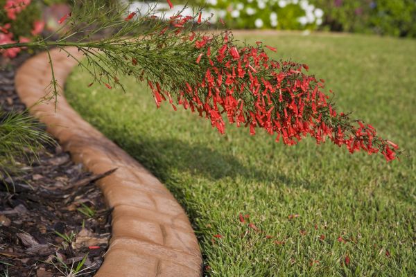 Brick Edging in Downers Grove