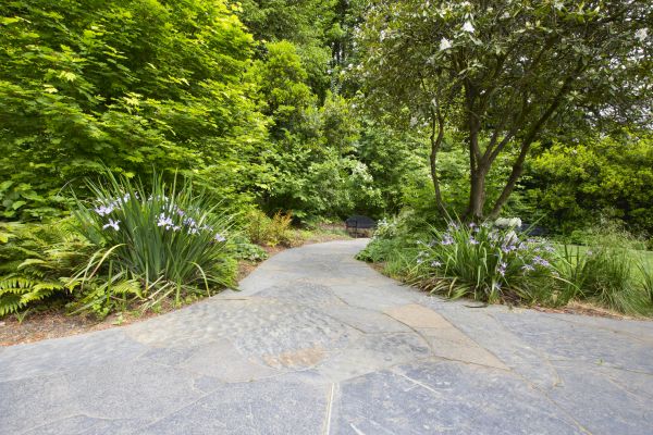 Stone Hardscape Service in Downers Grove